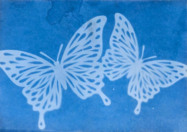 Butterflies on Photo Paper