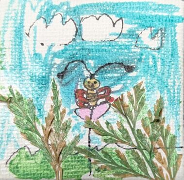 Butterfly Plants